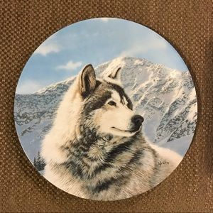 Solitary Watch Wolf Collectible Plate
